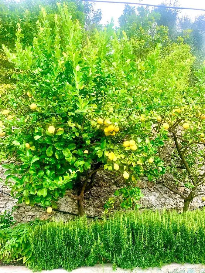 Bed and Breakfast Il Gabbiano Di Pieve Pieve Ligure Bed & Breakfast