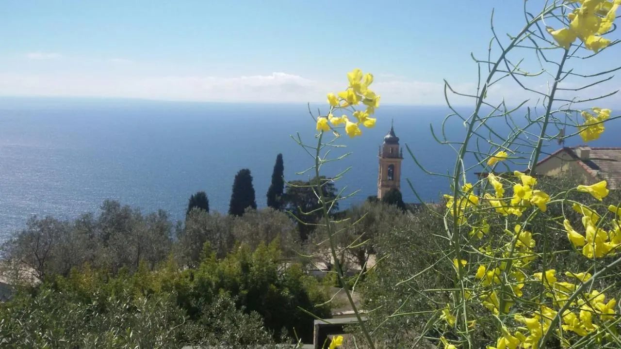 Bed and Breakfast Il Gabbiano Di Pieve Pieve Ligure 0*,