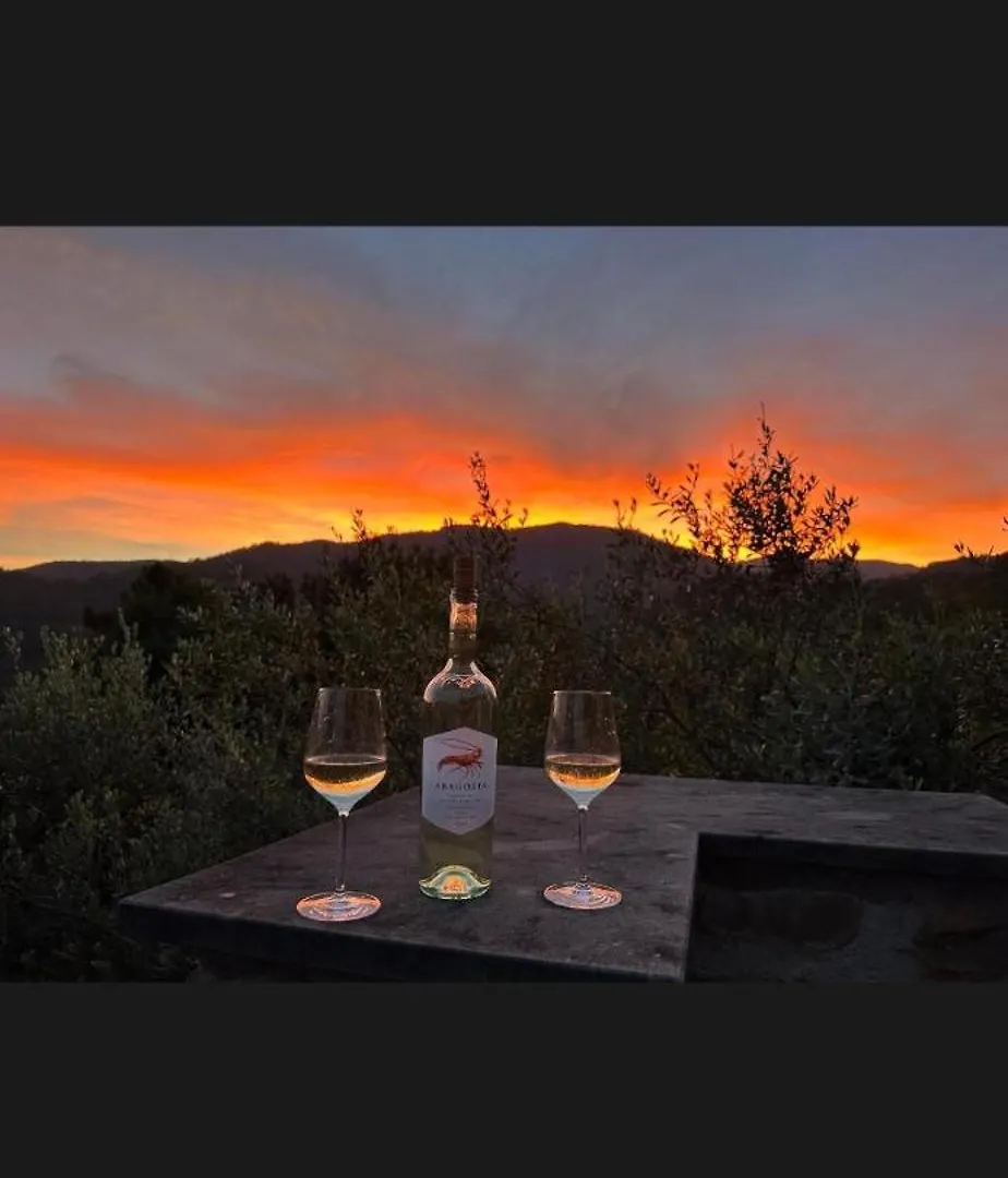Bed & Breakfast Bed and Breakfast Il Gabbiano Di Pieve Pieve Ligure