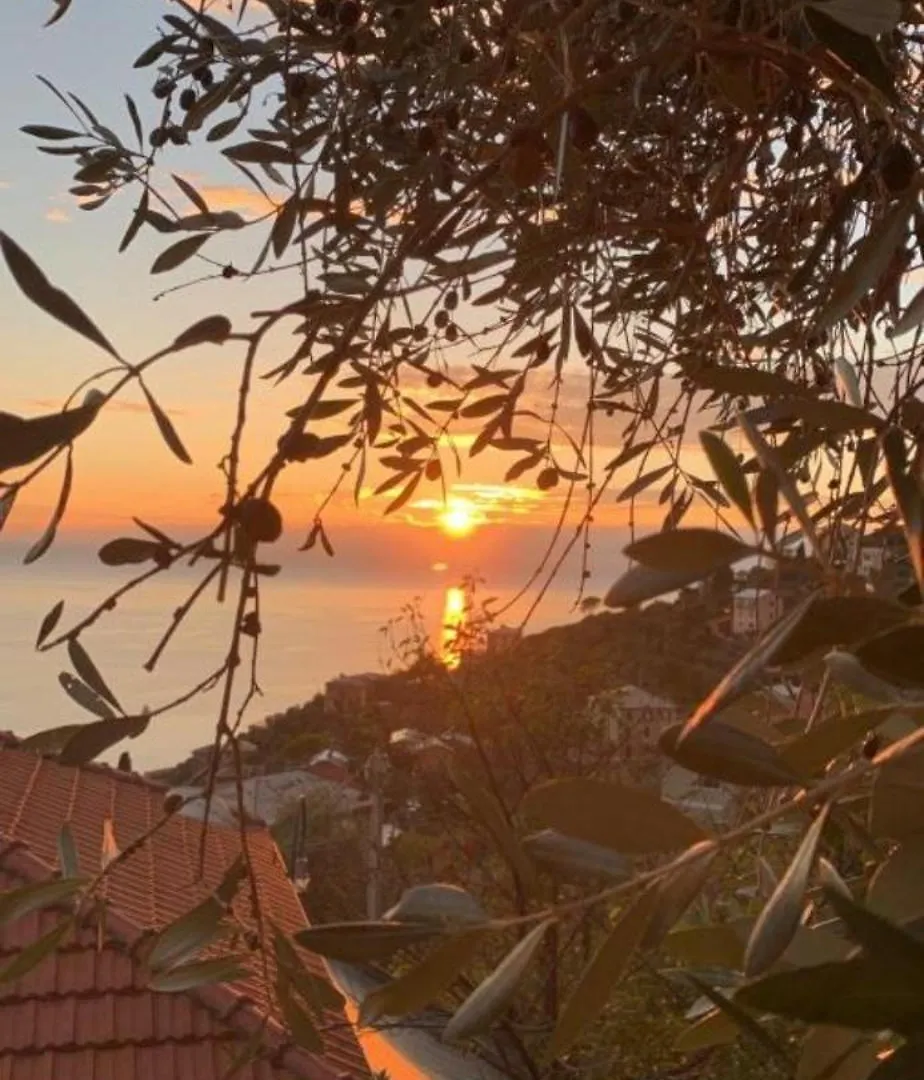 Bed & Breakfast Bed and Breakfast Il Gabbiano Di Pieve Pieve Ligure Italia
