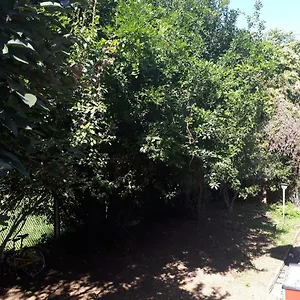 https://la-casa-di-mango-e-pistacchio.italymilanhotels.net